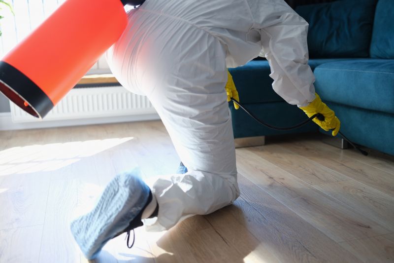 Beetle Removal in Katy, TX
