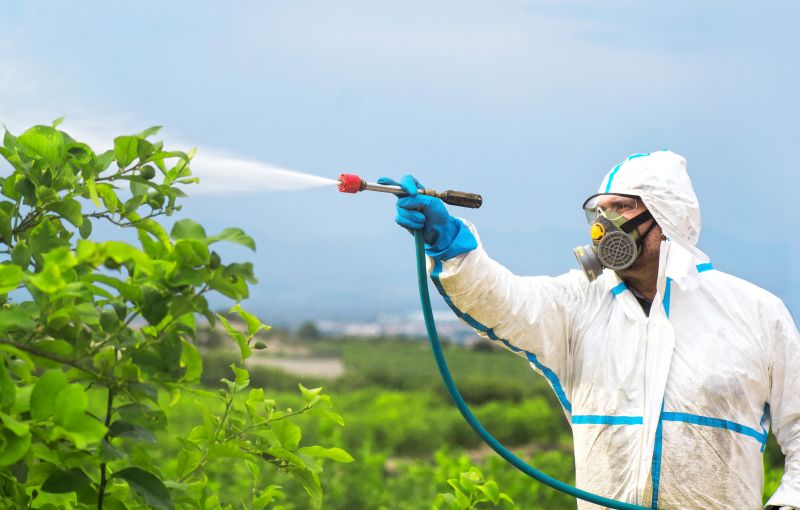 Commercial Fumigation in Fort Collins, CO