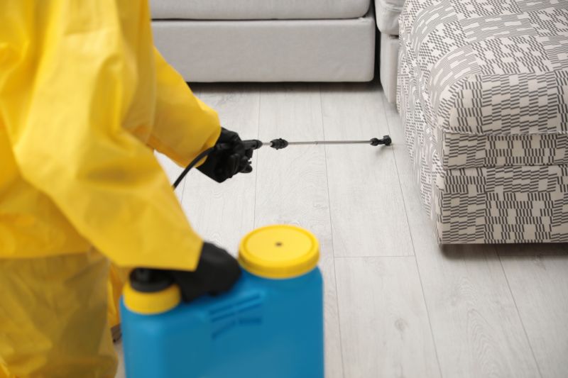 Pest Treatment Service in Katy, TX
