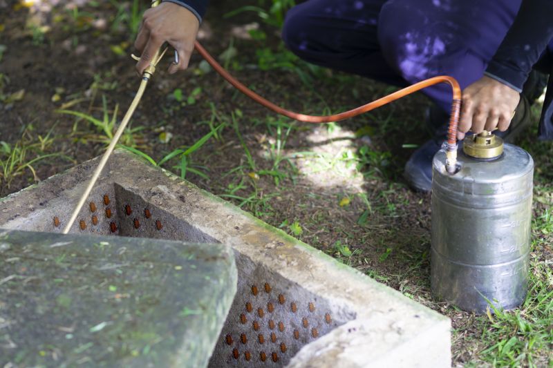 Spider Fumigation Service in Naperville, IL