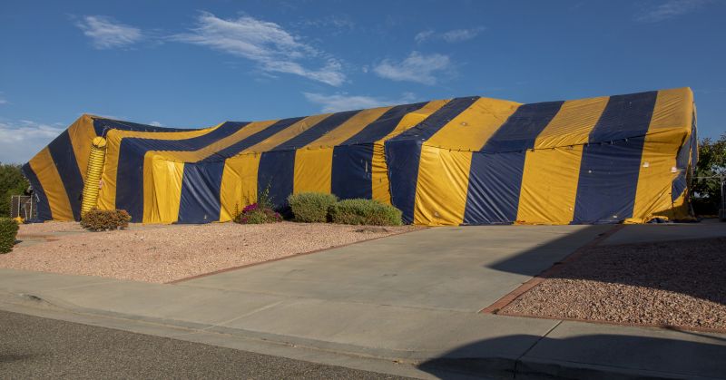 Termite Tenting in Winston Salem, NC